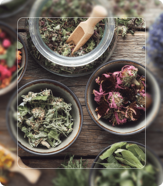 natural supplements for adhd child