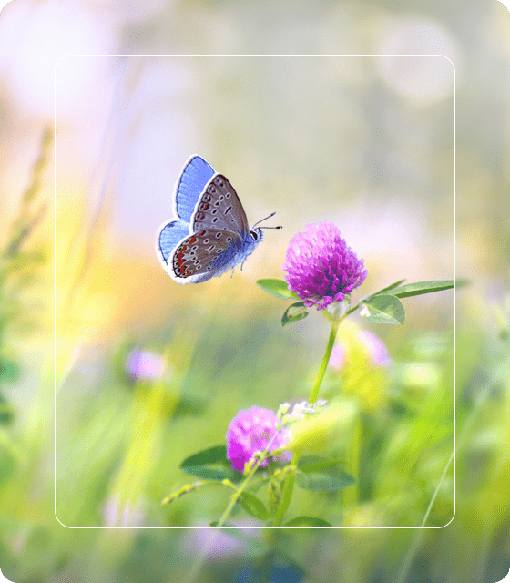 psychiatrist in brooklyn ny