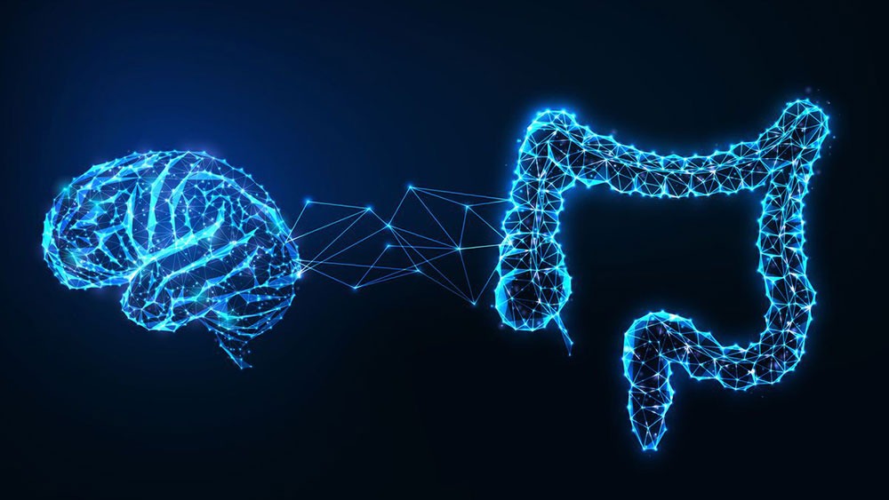 psychiatrist in brooklyn ny