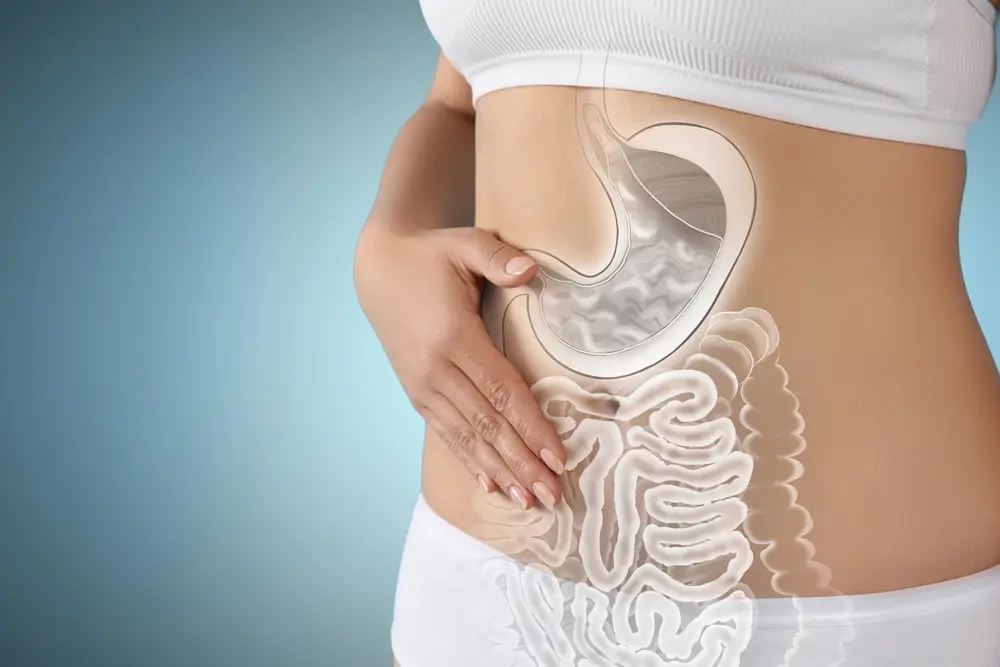 Person reviewing a long-term probiotic treatment plan