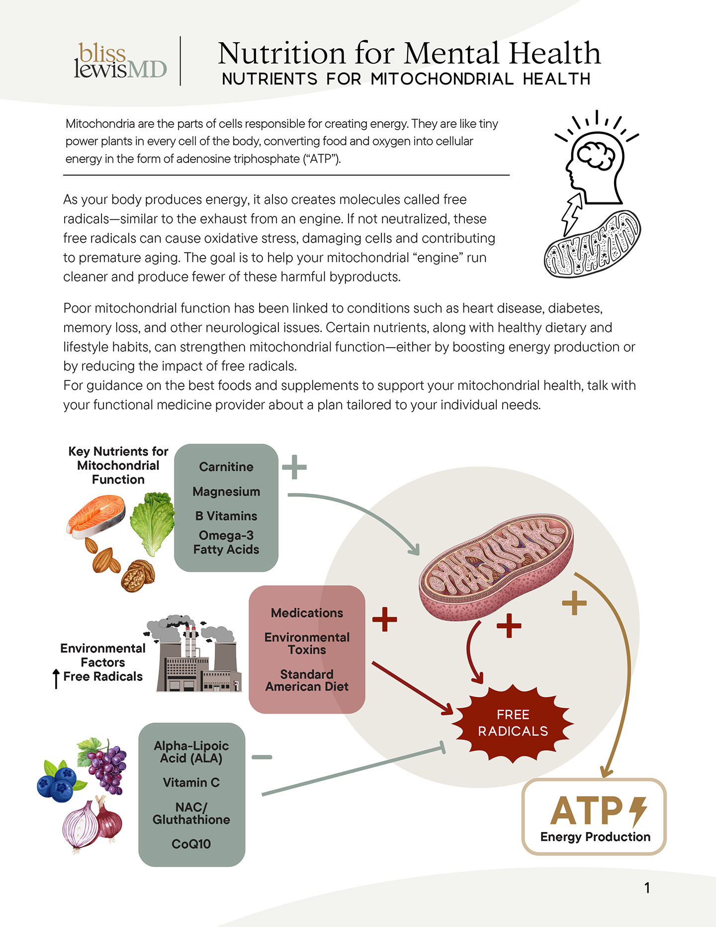 integrative psychopharmacology