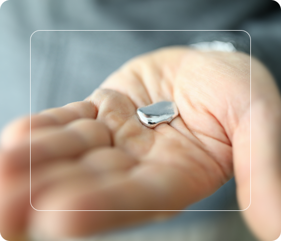 gut brain connection