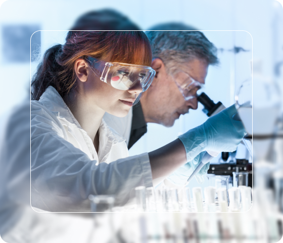 gut brain connection