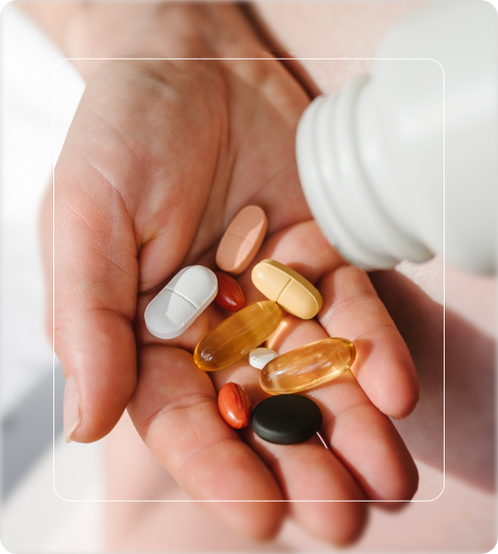 supplement ()